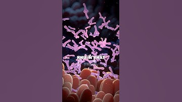 “Cô Gái 22 Tuổi Đột Tử Vì Nhịn Tiểu | 5 Hậu Quả Khủng Khiếp Bạn Phải Biết”