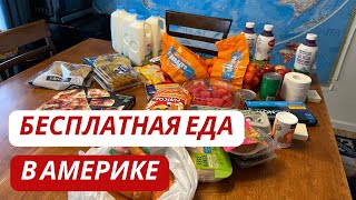 Бесплатная еда в Америке /Обзор продуктов/дают всем/Помощь и экономия/Из Германии в США/жизнь в США