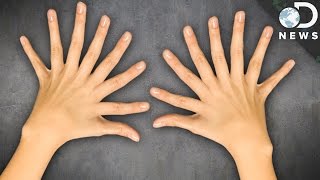 Why Do We Have 10 Fingers and 10 Toes? Why Do We Have 10 Fingers and 10 Toes?