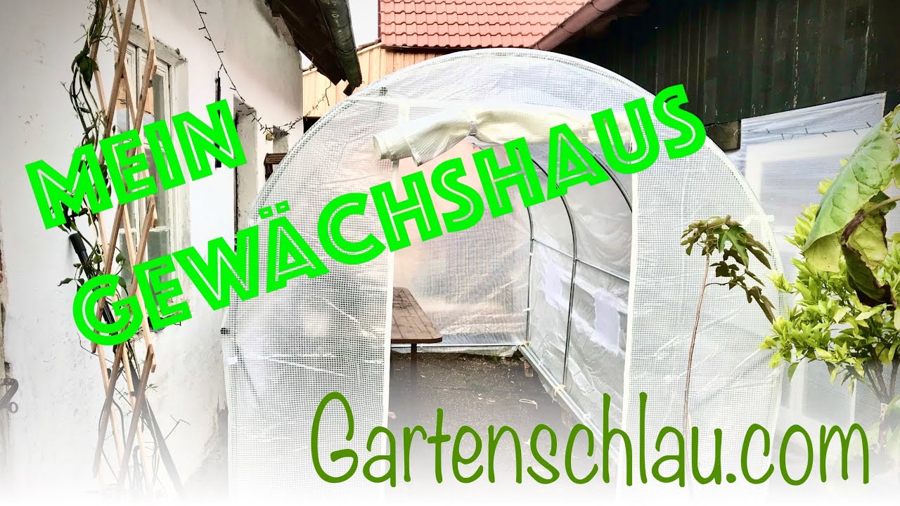 Foliengewächshaus im April: Was Frost, Sonne und Staunässe anrichten