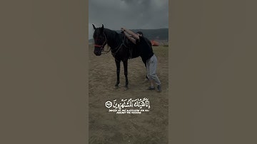إِنَّا كَفَيْنَاكَ الْمُسْتَهْزِئِينَ "| القارئ اسلام صبحي