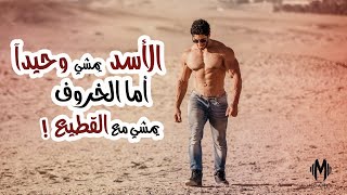 أحلامك وخدعة المنطقة الآمنة