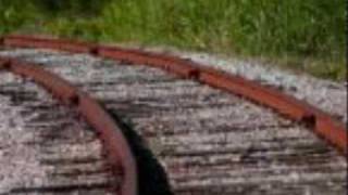 Video thumbnail of "A peanut sat on a railroad track, gross kids song"