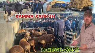: !    ... ##rek #khujand #rekomendasi