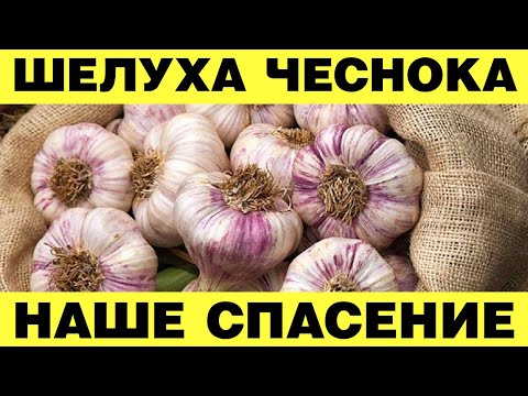 Вот что творит шелуха чеснока! Даже Щепотки Хватит. Никогда Не Выбрасывайте Шелуху Чеснока