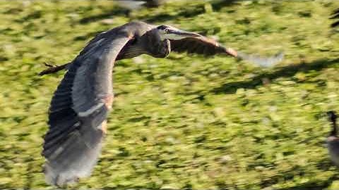 Photos from the archives 