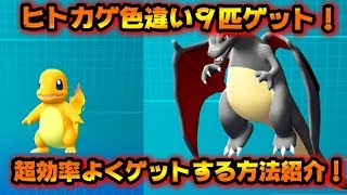 ポケモンレッツゴー 色違いヒトカゲの探し方 これで完璧 ピカブイ Youtube