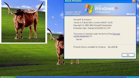Windows Longhorn Build 5001 ISO Setup