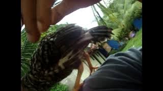 kape time