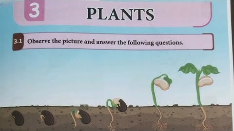 EE 5th std science term 2 Unit 3 plants work book answers 