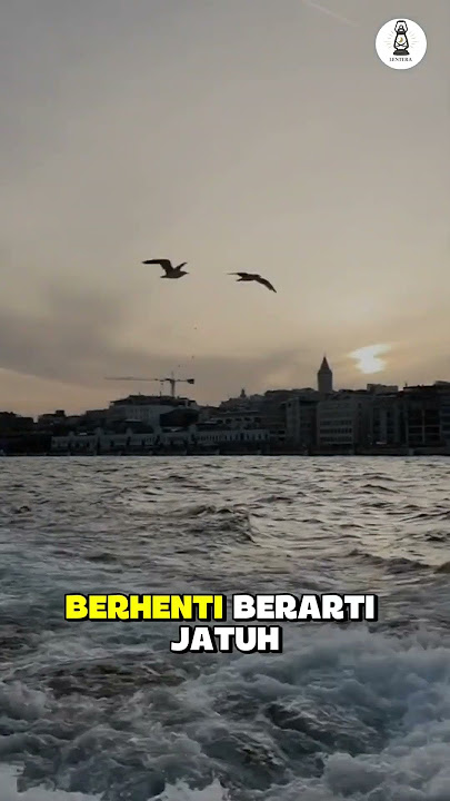 Burung Luka yang Tetap Mengepakkan Sayap