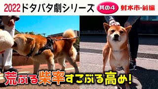 2022狂犬病予防注射会場のドタバタ劇・其の４ 射水市前編