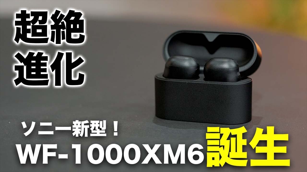 ミッキー様【美品】SONY WF-1000XM6 ミッキー様【美品】SONY WF-1000XM6 【公式通販】