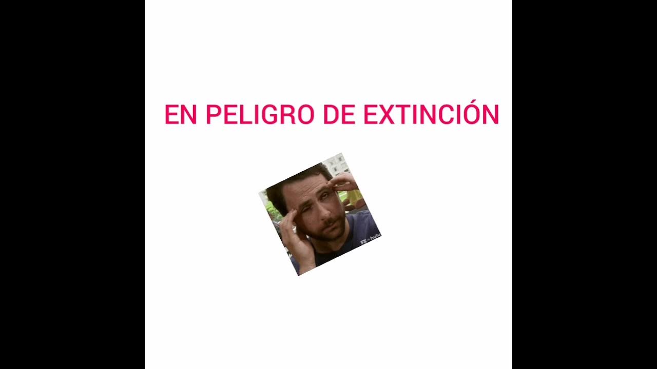 Rana de la Sierra Madre Occidental YouTube