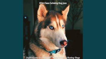 Pulsating Backdrops for Resting Dogs