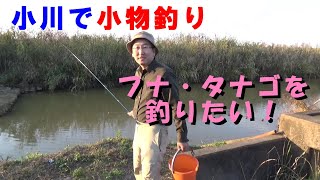 小川で小物釣り【栃木県小山市】フナ・タナゴを釣りたい！