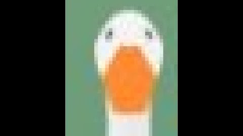 Funny glitch in Untitled Goose Game