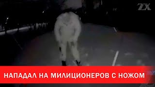 В Бобруйске мужчина пытался напасть на милиционеров с ножом | Зона Х