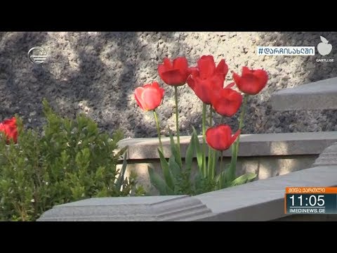 ქრონიკა 11:00 საათზე   20 აპრილი, 2020 წელი