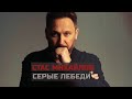 СТАС МИХАЙЛОВ - СЕРЫЕ ЛЕБЕДИ