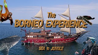 Download Lagu The Borneo Experience MP3 Download Lagu The Borneo Experience MP3