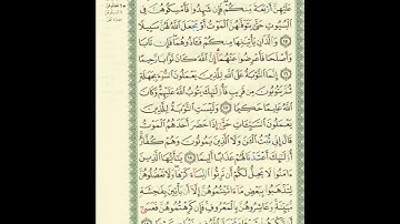 الورد اليومى.. سورة النساء من الاية 15 الى الاية 19 بصوت القارئ الشيخ ماهر المعيقلى