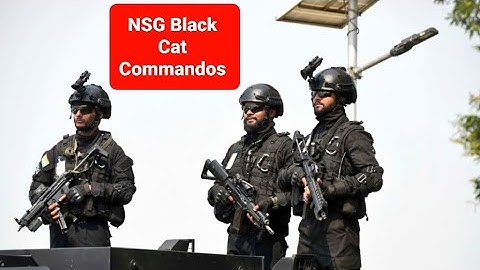 5️⃣1️⃣ Special Action Group (SAG) NSG Commandos | Guns & Equipment