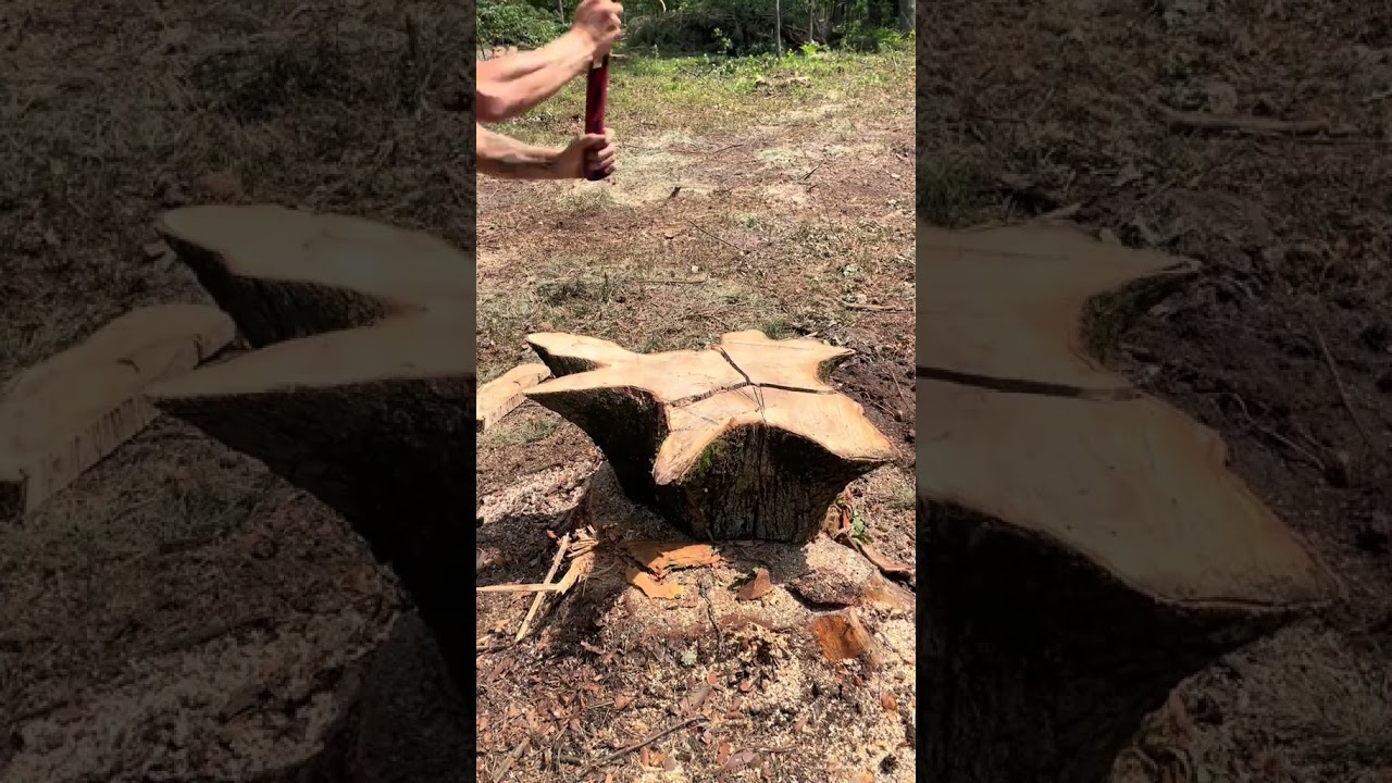 他毁了一个茶台 