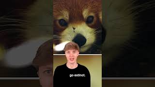Animals That Will Be Extinct By 2050