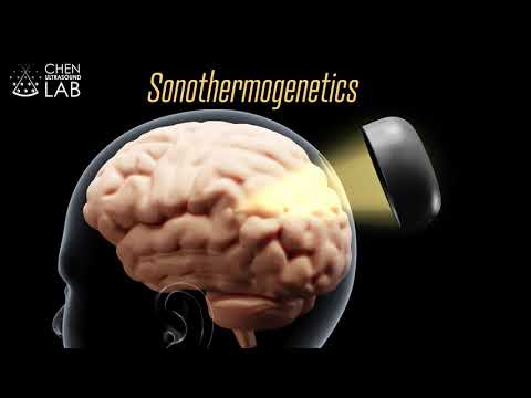 Sonothermogenetics Can Control Behavior by Stimulating a Specific Target Deep in the Brain