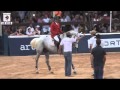 Tentativa de record luiz felipe de azevedo longines rios festival 2015