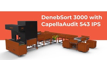 DenebSort 3000 with CapellaAudit 543 IPS | Dual Induct 8-Way Sortation System (With Profiling)