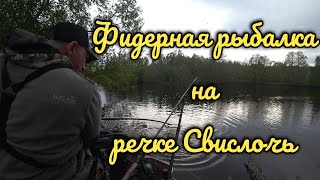 Фидерная рыбалка на реке Свислочь. Ждал выхода рыбы и дождался их..... Рыбалка на реке