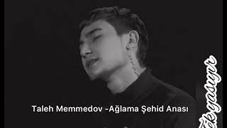 Taleh Memmedov - Ağlama Şehid Anası Resimi