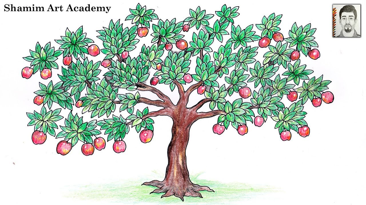 How To Draw An Apple Tree Step By Step Easy - How to draw apple tree