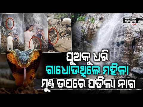 ପୁଅକୁ ଧରି ଗାଧୋଉଥିଲେ ମହିଳା ମୁଣ୍ଡରେ ପଡିଲା ନାଗ ଆଉ ତାପରେ ...