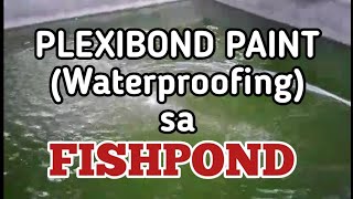 PWEDE BA ANG PLEXIBOND PAINT SA FISHPOND? screenshot 5