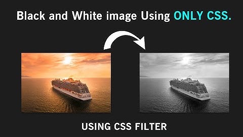 Css filter Tutorial How To Create Black and White image with CSS_Gray Image Using CSS | HTML & CSS