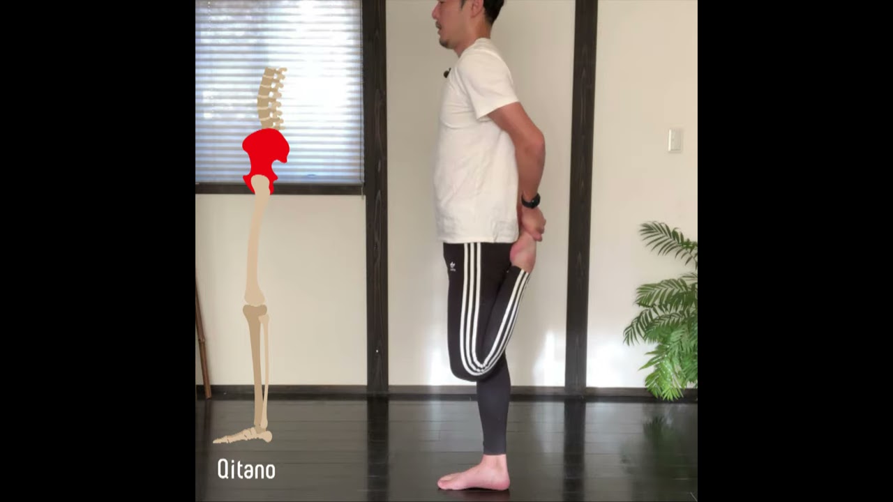 左右の足の長さが違う改善ストレッチ 骨盤の高さを揃えて脚を整える３手順 Qitano キタノ カラダづくりラボ