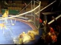 Terrible ataque de leones