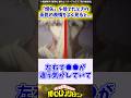 【ヒロアカ7期8話】「燈矢」を捨てたときの荼毘の表情をよく見ると... に対する反応集#僕のヒーローアカデミア #僕のヒーローアカデミア
