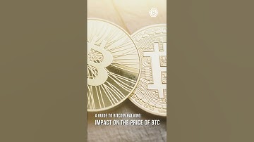 How Bitcoin Halving Affects BTC Price #shorts