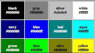 HTML Tags,Character Entity,Background  (CLASS : XI) ONLINE CLASS FOR WEB APPLICATION STUDENTS