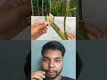 Bambo gun 😱 #archery #bamboo #hinditechnology #technology
