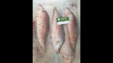 Cá thác lát rút xương - Giá sĩ công khai (Tháng 05/2020) - 125k/1kg - Review tại Shop Đặc Sản MTQT