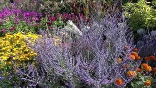 A tour of the Lloyd Border at White Flower Farm