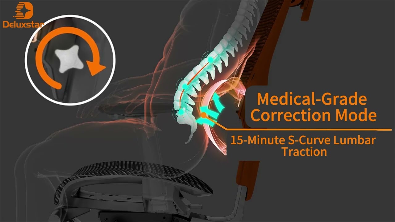 DLS-S4 Ergonomic Office Chair | Adjustable Backrest & Lumbar Support