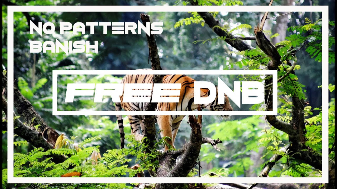 free dnb loops No Patterns - Banish {Free Download}