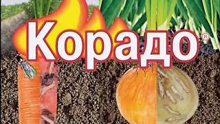 Брянская Губерния (Брянск) - фрагмент эфира (03.06.2018).