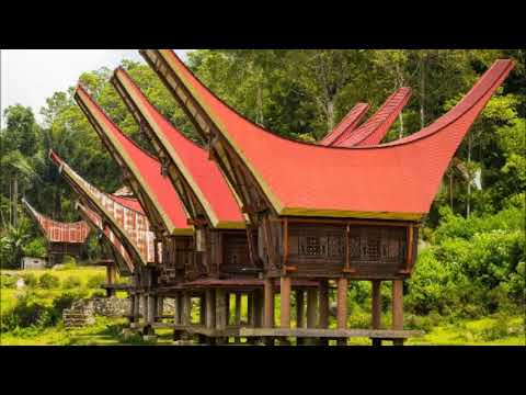 Suara Burung Walet inap Sulawesi #Sound Swallow Bird Mp3